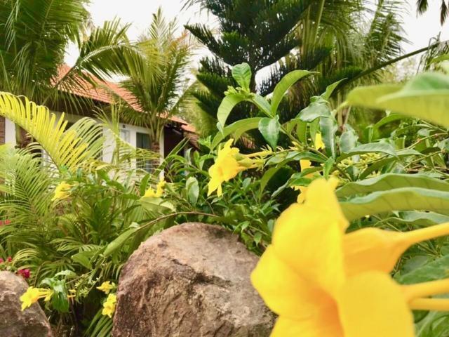 Bamboo Garden Resort Phu Quoc Exteriör bild